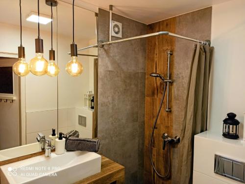 a bathroom with a shower and a sink at Studio Park Śląski Katowice/Chorzów in Chorzów