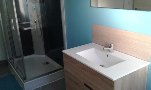 a bathroom with a sink and a shower at Gîte Aux 3 Épis, Classé 3 Étoiles in Dienville