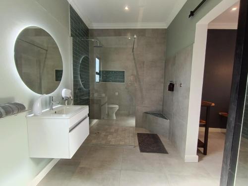 a bathroom with a shower and a sink and a mirror at Unit 8 Dinas Accommodation Oranjemund in Oranjemund