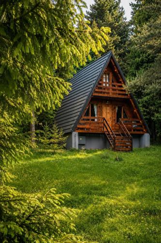 a log cabin in the middle of a forest at Leśna Sielanka domek z jacuzzi w lesie pod Górą Szczebel RELAX I SPORT in Lubień