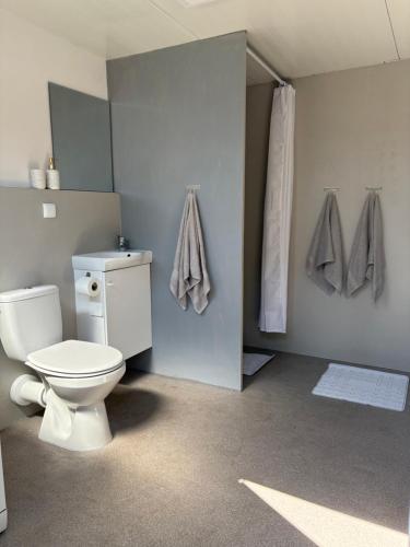 a bathroom with a toilet and towels on the wall at Platin Pure in Jastarnia