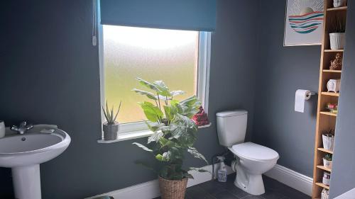 a bathroom with a sink and a toilet and a window at stone cottage in Fir Tree