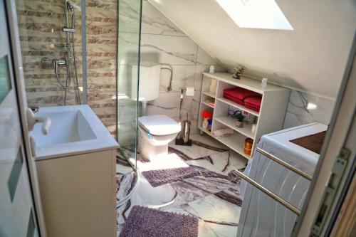 a bathroom with a shower and a toilet and a sink at Holiday Home Rocca with pool in Vrgorac