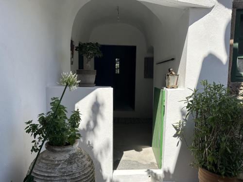 a hallway with two potted plants and a door at Mylopotamos House in Milopótamos