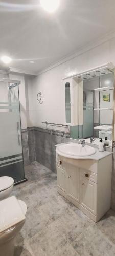 a bathroom with a sink and a toilet and a mirror at Casa Rural Arroyo 5 in Mejorada