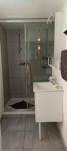 a bathroom with a shower and a sink at maison de village in Thuir
