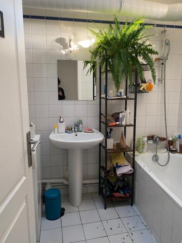 Cozy 3-room apartment, central, terrace