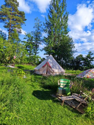 a tent and a chair in front of a field at Torpakka glamping in Mikkeli