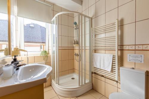 a bathroom with a shower and a sink at Cherry Tree Sibiu in Sibiu