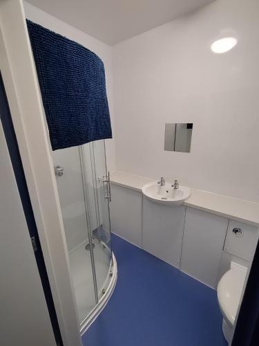 a bathroom with a shower and a sink at Adventure Bude in Bude
