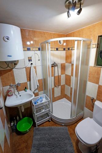 a bathroom with a shower and a toilet and a sink at Domki nad Jeziorem Ołów in Ryn
