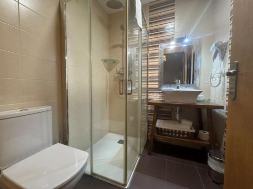 a bathroom with a shower and a toilet and a sink at Hostal Casa Otsoa in Ezcároz