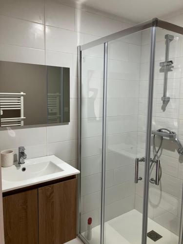 a bathroom with a glass shower and a sink at Chambre et sdb avec entrée privative in Soustons