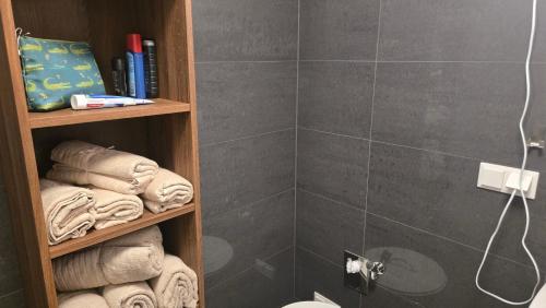 a bathroom with a toilet and a shower with towels at Appartement LUFT bei Wien in Klosterneuburg