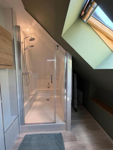 a bathroom with a shower with a glass enclosure at Pasteur Numéro 5 in Dijon