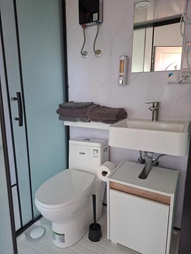 a bathroom with a toilet and a sink at Unseburger-Brauhaus GmbH, FW 10 in Unseburg
