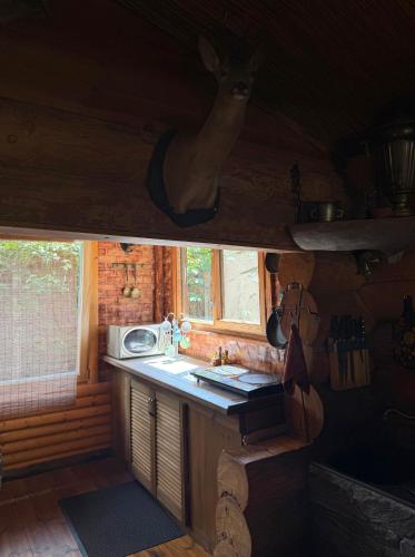 a kitchen with a counter and a sink in a cabin at Lilaste in Lilaste