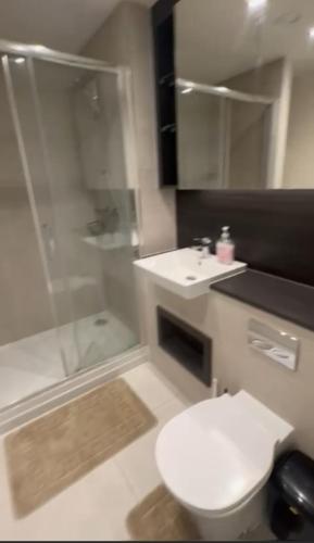 a bathroom with a toilet and a sink and a shower at Harrow Nest - 1Bedroom in Hatch End