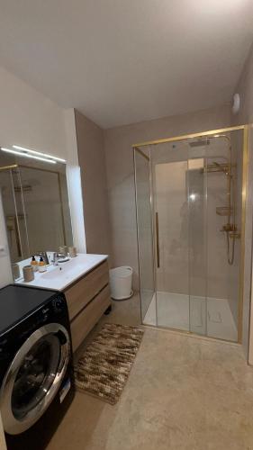 a bathroom with a shower and a washing machine at Sous les Capucines in Saint-Gervais-les-Bains