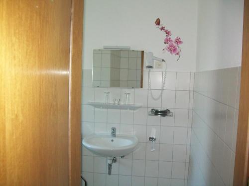 a bathroom with a sink and a mirror at Haus Darmstadt in Ankelohe