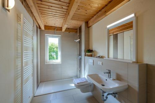 a bathroom with a sink and a toilet and a window at Heideröschen Park Heideröschen 5c in Zingst