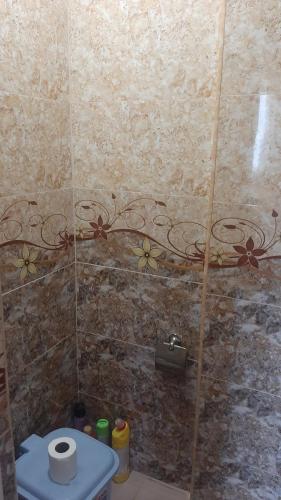 a bathroom with a toilet and a tile wall at Saraharth in Alaverdi