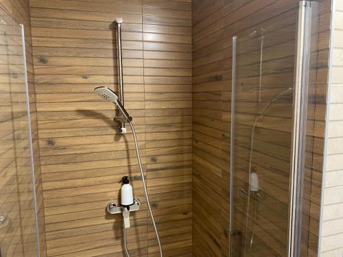 eine Dusche mit Duschkopf im Badezimmer in der Unterkunft 3 Elementy in Čachtice