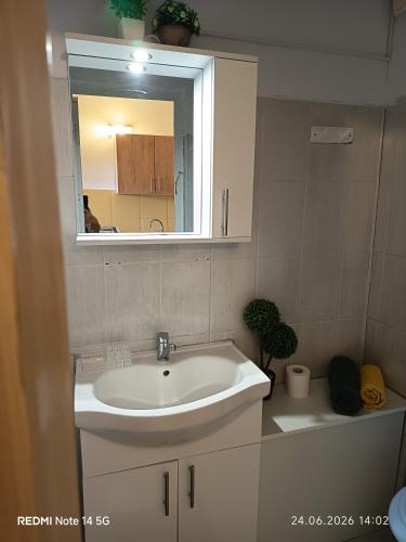 a bathroom with a sink and a mirror at Studioul vacanțelor din Saturn 2 in Saturn