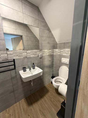 a bathroom with a toilet and a sink and a mirror at Apartmány u Anety in Mladé Buky