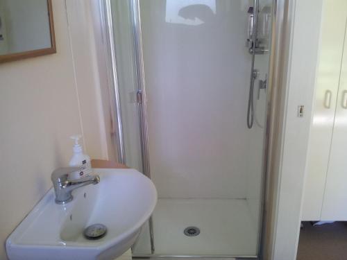 uma casa de banho branca com um lavatório e um chuveiro em Cavendish Farm em Kaiapoi