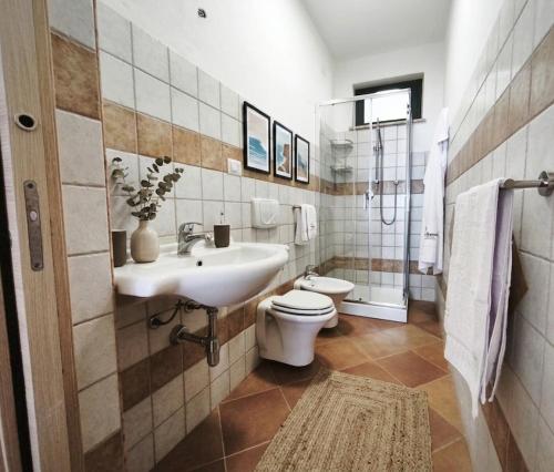 a bathroom with a sink and a toilet and a shower at Il Corbezzolo Tropea Residence in Tropea