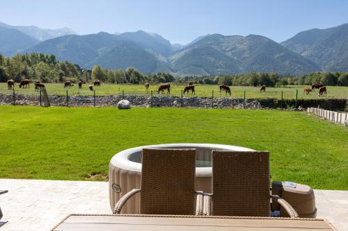 a group of horses grazing in a field with chairs at Villa Sofayla w Jacuzzi near the Pirin Golf Resort in Bansko