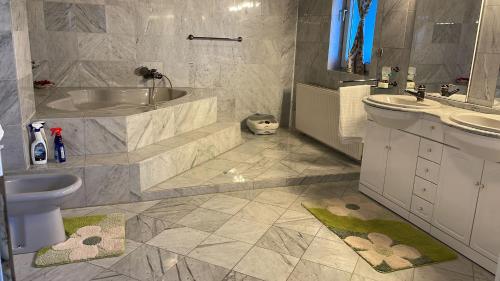 a bathroom with a sink and a tub and a toilet at FreiNestWaldviertel in Hoheneich