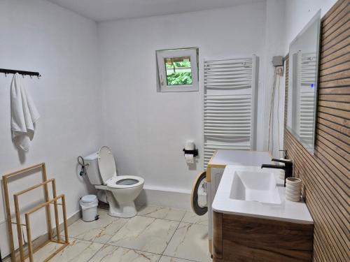 a bathroom with a toilet and a sink at Casa Ada in Arpaşu de Sus