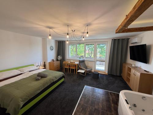 a bedroom with a large bed and a bathroom at Apartmány Adam in Sedlec