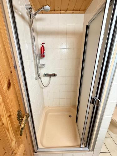 a shower with a glass door in a bathroom at Jagdhütte in Zöllnitz