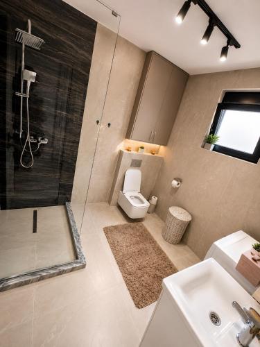 a bathroom with a shower and a toilet and a sink at Villa Hana in Bar