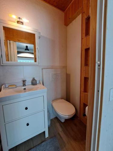 a bathroom with a white sink and a toilet at Il Nido Viola in Arbedo-Castione
