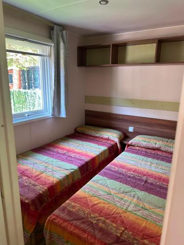 two beds in a small room with a window at El Chate in Sarvisé