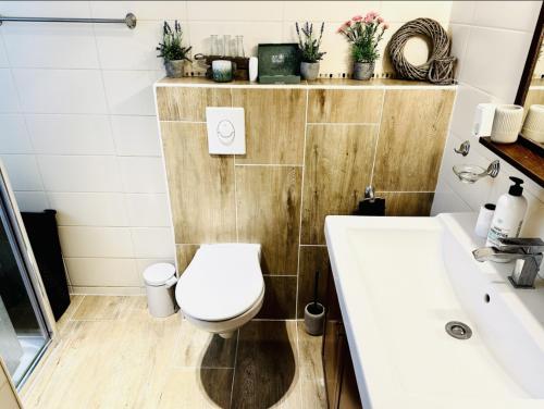 a bathroom with a toilet and a sink at Chalet op de veluwe in Putten