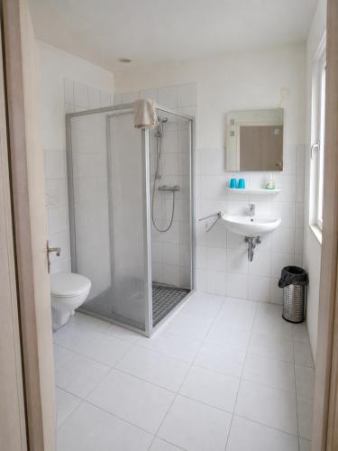 a bathroom with a shower and a toilet and a sink at Pension Greifswald in Dargelin