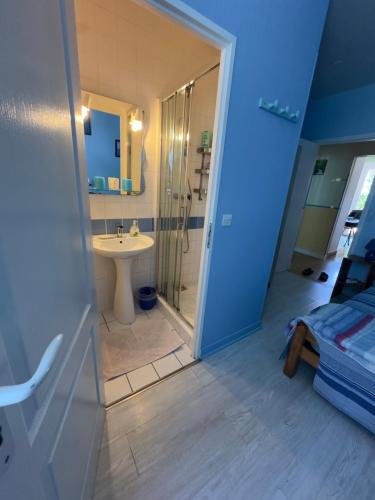 a bathroom with a sink and a shower and a toilet at Aux Châtaigniers in Langon