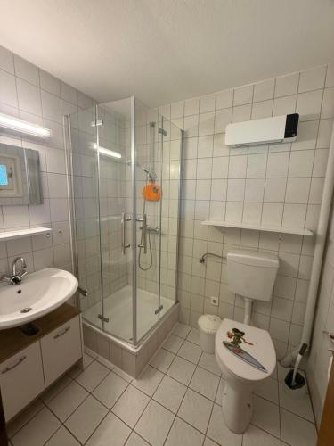 a bathroom with a shower and a toilet and a sink at Ferienhäuser Holenberg in Holenberg