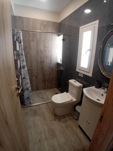 a bathroom with a toilet and a sink and a mirror at Elysian Suites in Ratzaklíon