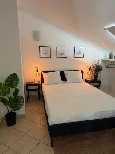 Faro Central Home