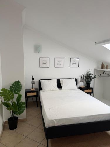 Faro Central Home