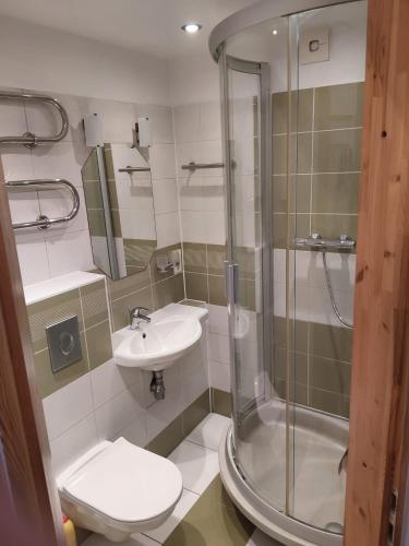 a bathroom with a shower and a toilet and a sink at Apartament orhideja 11 in Riga