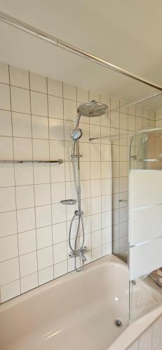 a shower in a tiled bathroom with a bath tub at Ellenberg Appartements - Ferien- und Monteurs-Wohnung in Geislingen