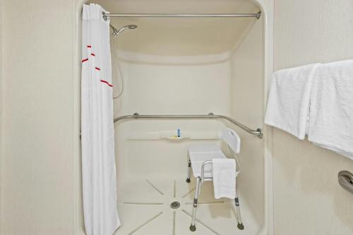 a bathroom with a shower curtain and a towel rack at Red Roof Inn Branson in Branson