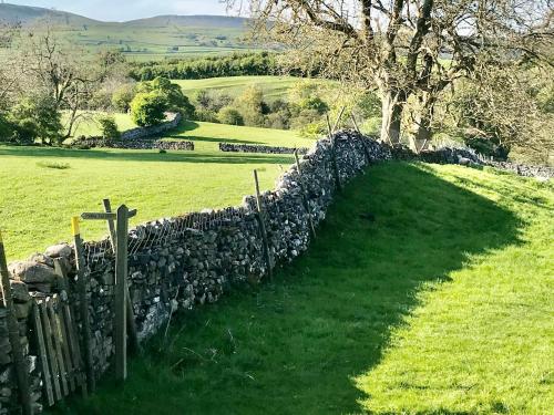 a stone wall in a field with a tree at The Owlery At Aysgarth in Aysgarth